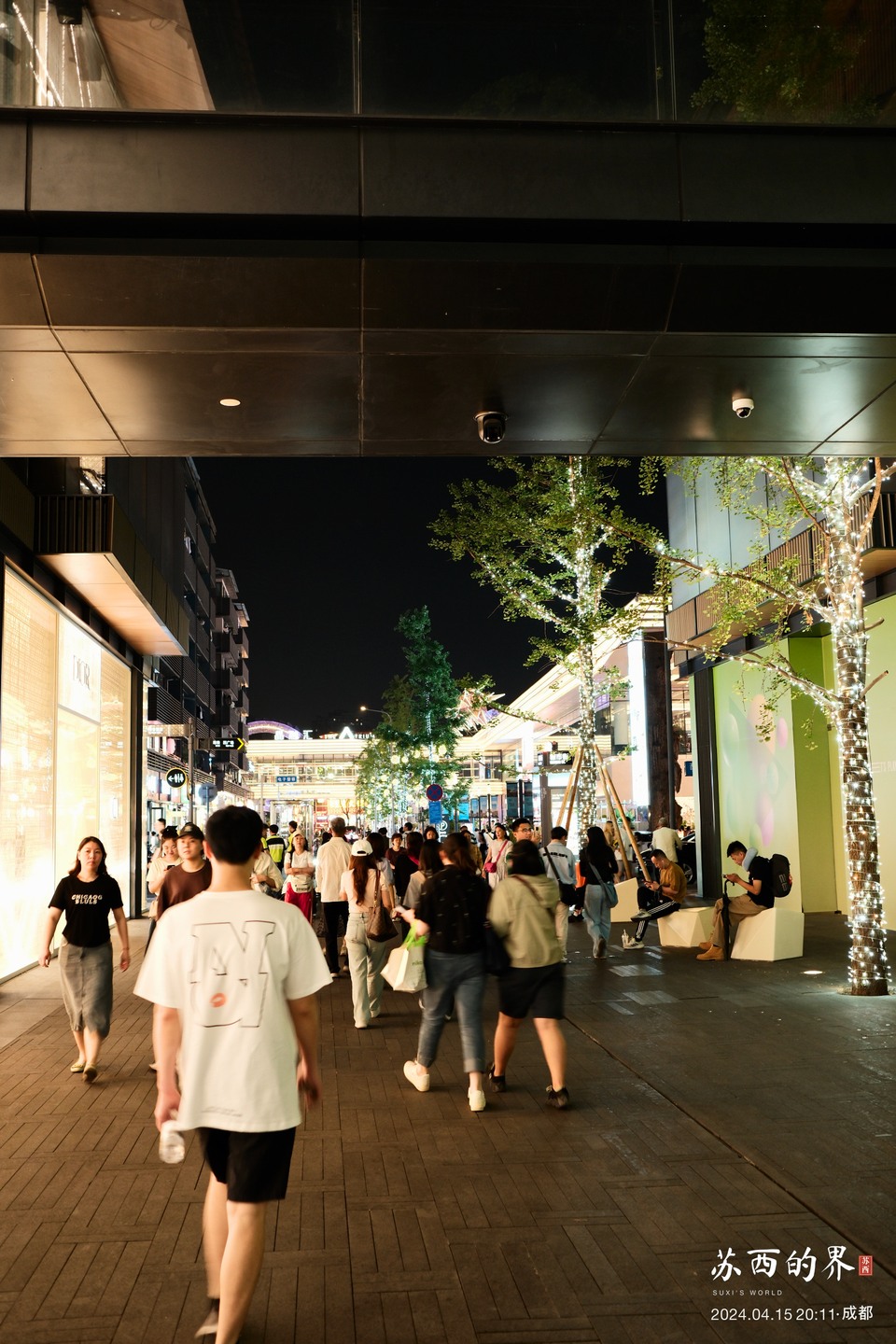 Walking through the passage · Chengdu · 2024.04.15 20:11