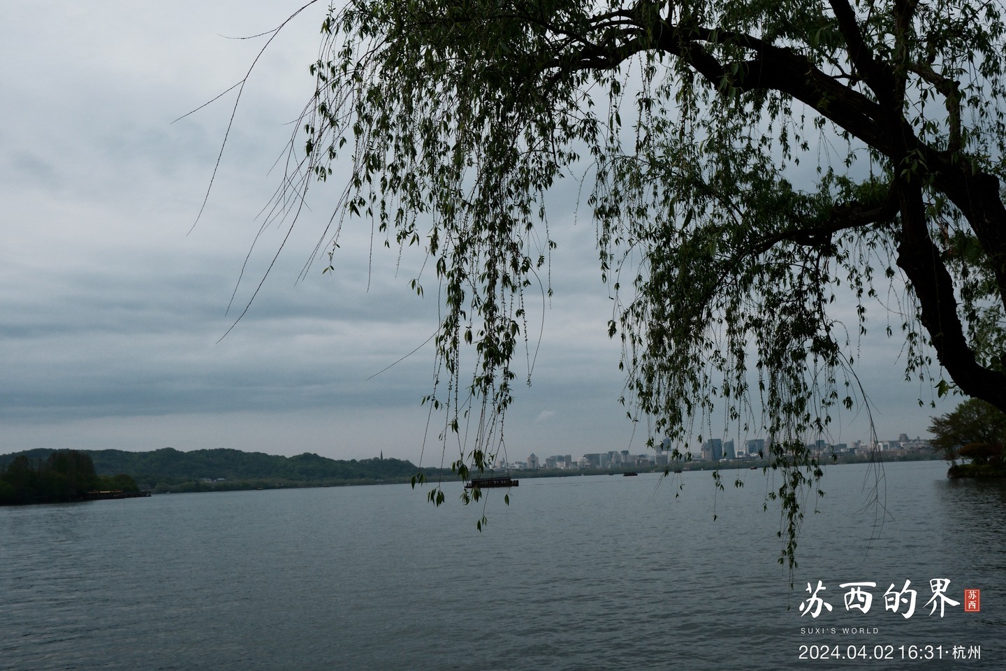 Willow branches over the lake · Hangzhou · 2024.04.02 16:31