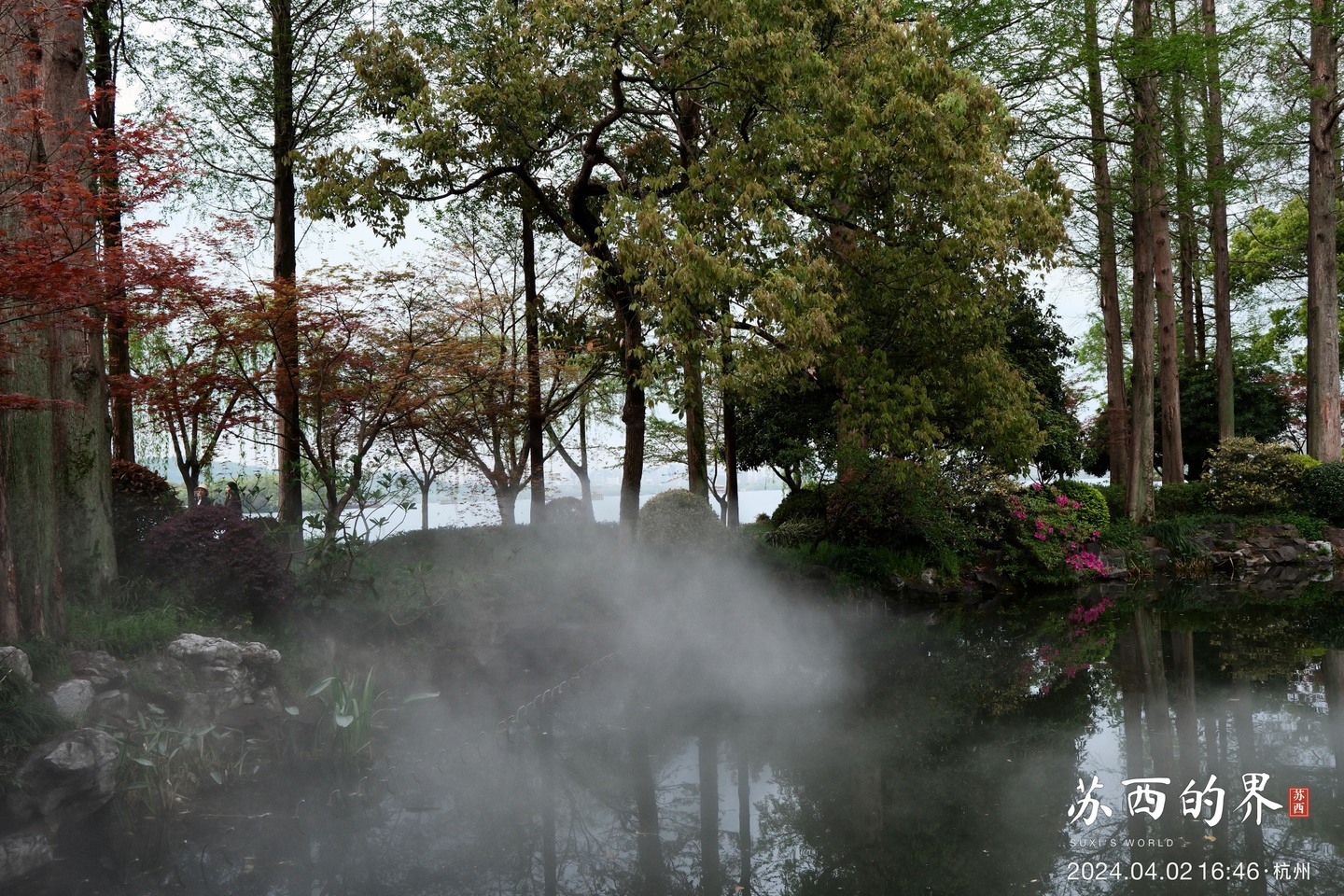 A garden pond · Hangzhou · 2024.04.02 16:46