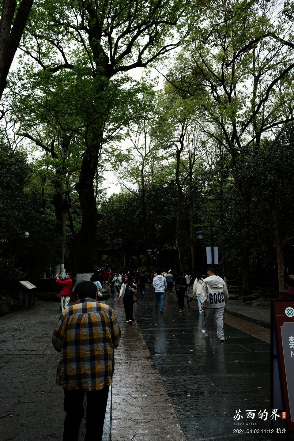 A wooded path · Hangzhou · 2024.04.03 11:12