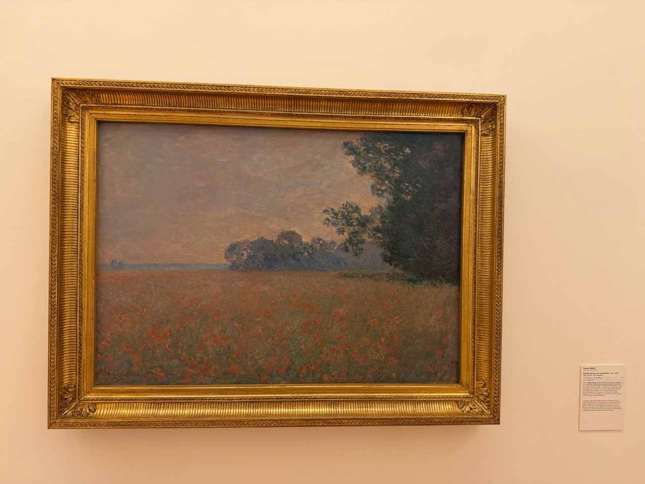 A field painted by Monet